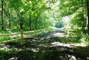 rail trail williams lake rosendale ny